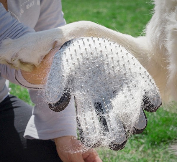 Spazzola e guanto da massaggio per animali domestici