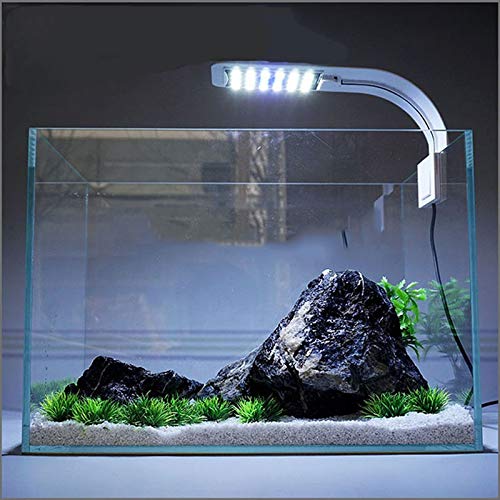 LED della clip dell'acquario