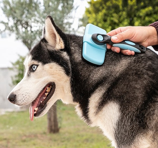 Spazzola per la pulizia degli animali domestici